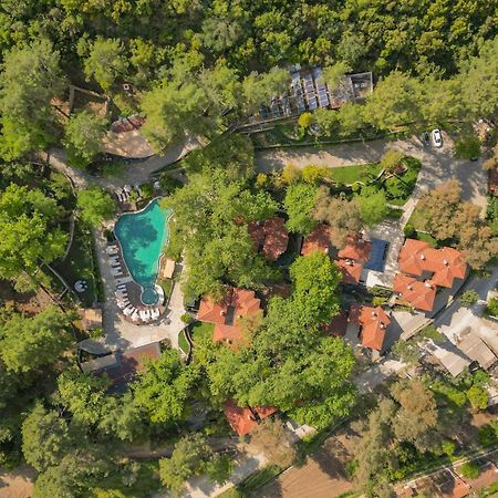 Nuup Hotel Marmaris Zewnętrze zdjęcie